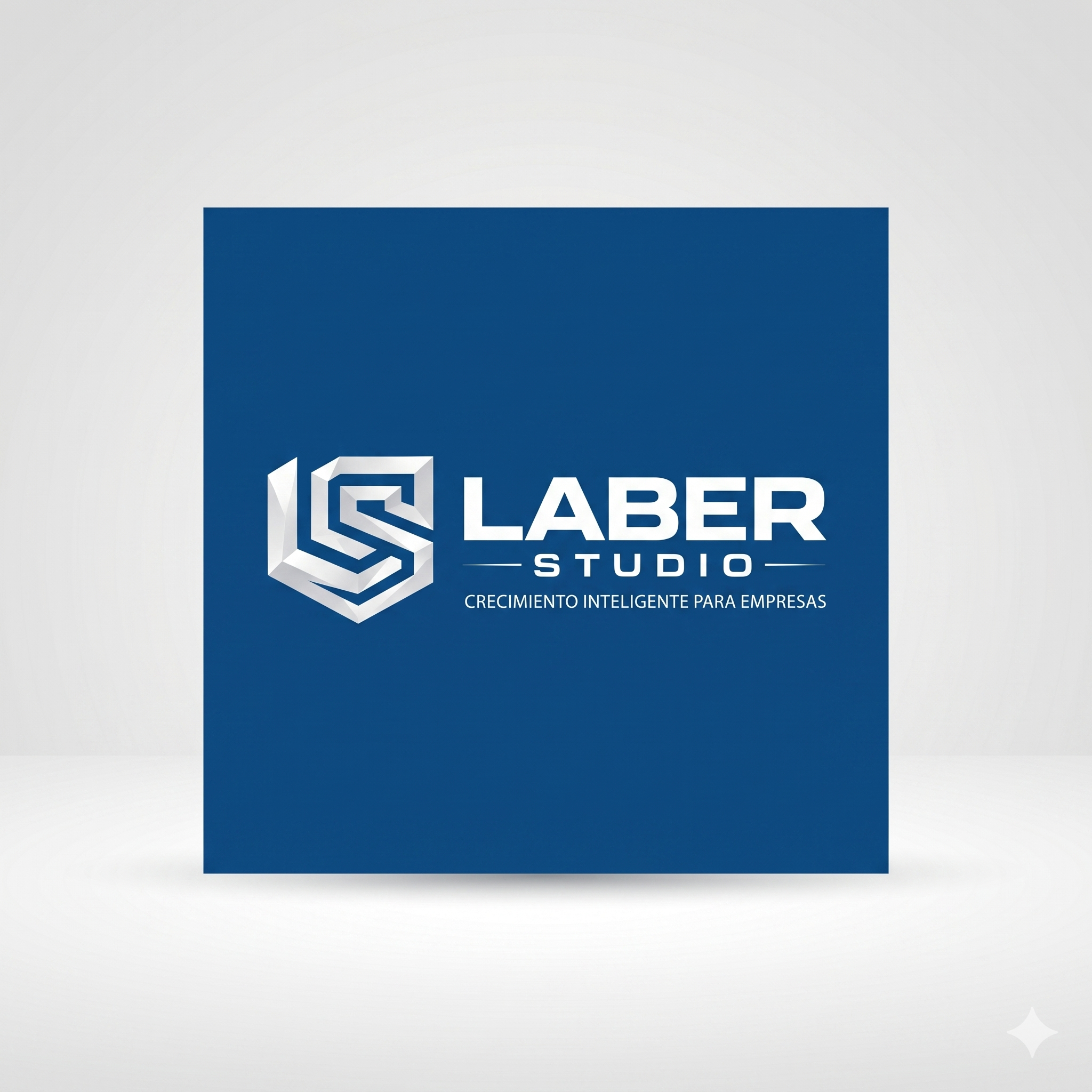Laber Studio Logo